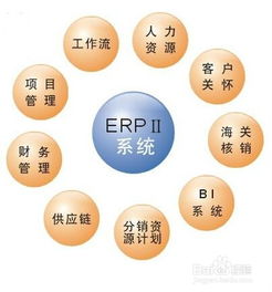 erp管理系統(tǒng) 委托書輸入
