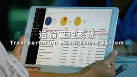 物流運輸erp系統,管理軟件開發成果欣賞