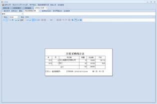 物流 erp管理系統中的報表開發與維護模式