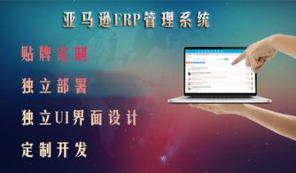 亞馬遜erp系統oem貼牌定制獨立部署服務器 做自己的品牌