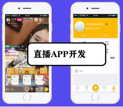 1v1直播app系統開發定制