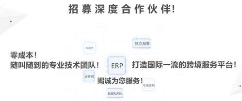 亞馬遜無貨源店群erp功能定制貼牌oem私有化定制開發