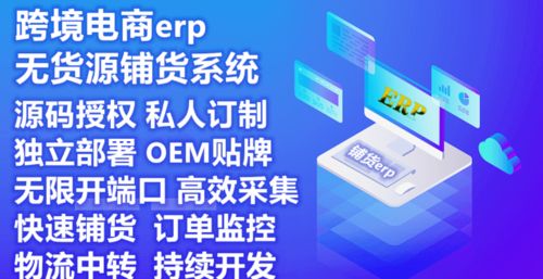 亞馬遜erp系統招商加盟貼牌定制私有化獨立部署 logo域名