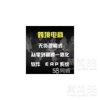 【亞馬遜店群無貨源erp系統貼牌定制獨立部署代理招商】-