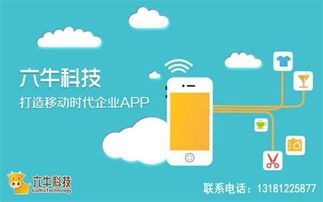 臨沂零售企業app軟件定制開發有什么用處